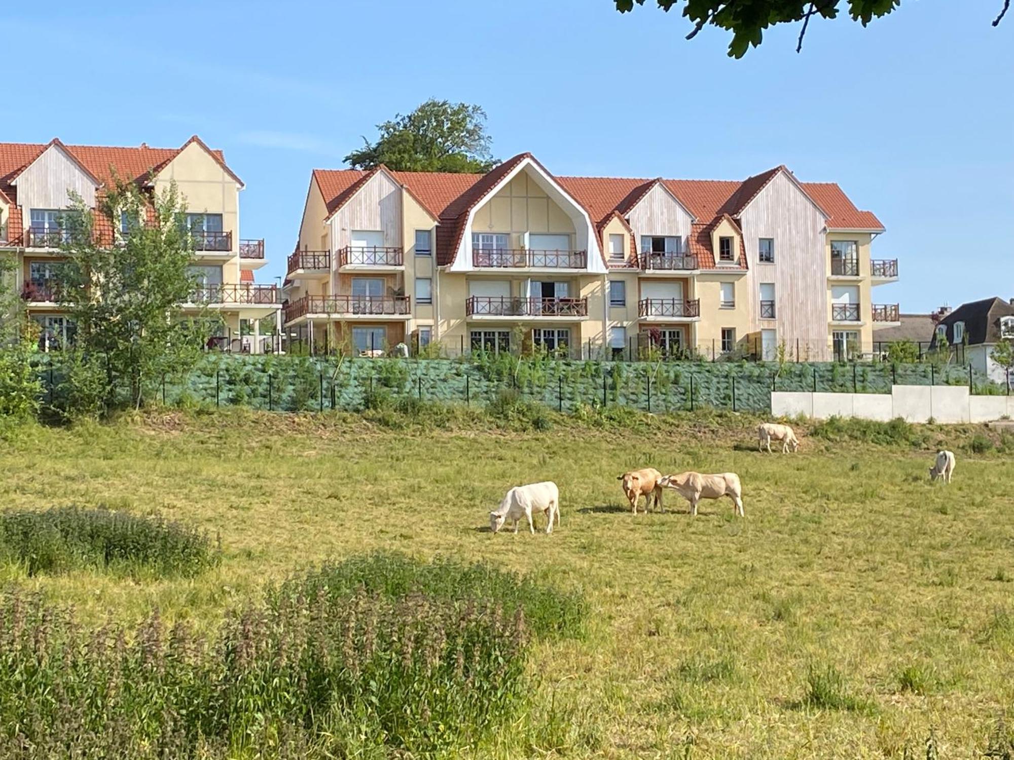 L'olivier En Baie, T3 De Standing Avec Jardin, Vue Baie, Parking Prive *